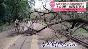 4jkl4CfYnbWoWyzD5J8BrRiFkFqfbH