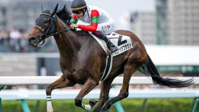 馬券　レガレイラ　9種 2024年注目馬・松末】スワーヴリチャード産駒レガレイラは