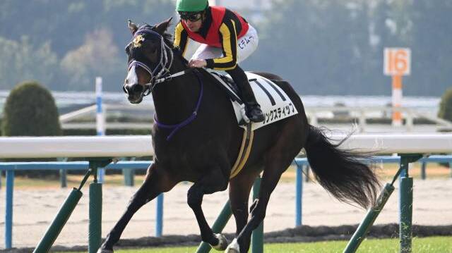 競馬探偵Xの金持ちになれるレース予想: 2004年オークス