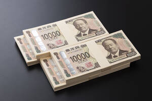 【情弱】とバカにする「現金一括主義者」が見落としがちな“残クレ最大のメリット” とは