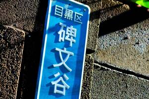 読めなきゃ恥ずかしい!? 東京の高級住宅街「碑文谷」ってどんな街？「すごい道路」が交差する「日本初の場所」があった