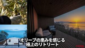 「今日はこれで決まり」「オリーブオイルを回しかければ…」期間限定のオリーブ収穫ステイで絶景と旬の恵みを五感で味わおう