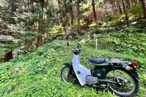 バイクで往く城跡巡り　戦国末期の本格的な山城「木曽福島城」へ　熊との遭遇に注意しながら低山登山!?