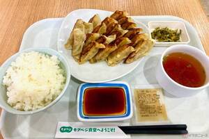 20周年を迎えた首都高がメニューフェア開催中　餃子20個が立ち並ぶ姿は圧巻!!　「八潮PA」オリジナルメニューに挑戦　バイクで行く高速道路グルメ