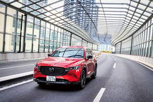 ローカルニュープレイスの魅惑