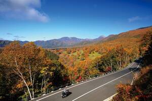 連休目前！バイク＆クルマで行きたい秋の紅葉「感動ルート東日本編」栃木、福島、千葉、山梨、長野、新潟から厳選!!