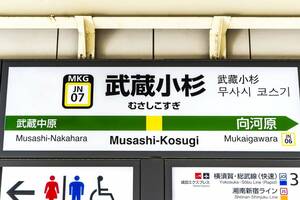 地上50階!? 武蔵小杉に「最大級のタワマン」爆誕へ！ 大学跡地に「1438戸」ツインタワー建設 「木の温もり」隈研吾デザインも!? 周辺道路には新ルート