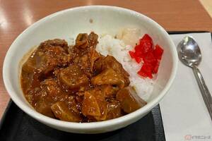 22時過ぎにガッツリ食べたくなった「談合坂SA」　コクたっぷりの「牛すじカレー丼」に大満足！