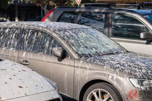 車についた「鳥の“落し物”」どうすればいい？ そのまま「放置」は絶対NGですよ！ 誰しも経験する「あるある場面」 即・対処が必要な理由とは