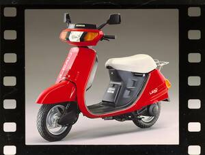 ホンダ「リード50/80」シリーズ（1982年）【80年代に登場したホンダのバイク図鑑】