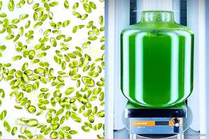 デンソーが開発に参画、微細藻類「コッコミクサKJ」使用のサプリメント展示へ…FOOD STYLE JAPAN九州