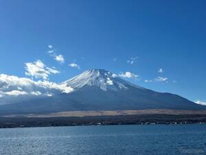 羽田空港～富士山駅直通バス、11月4日から平日運行再開…訪日観光客の利便性向上