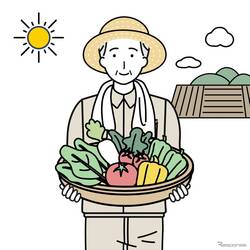 ヤマト運輸、宅急便当日配送サービスと同一都道府県内運賃を導入…11月10日から