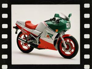 ホンダ「NS125R」（1987年）【80年代に登場したホンダのバイク図鑑】