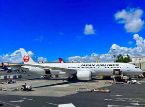 「え！やば！」 狩野英孝さんのJAL便搭乗券が“粋すぎ仕様”でSNS話題沸騰！ 券面には「意外すぎる」文字も