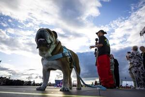 「ロスコー、フォーエバー」ハミルトンが愛犬の死を発表。F1、FIA、チームやドライバーたちが弔意を表す