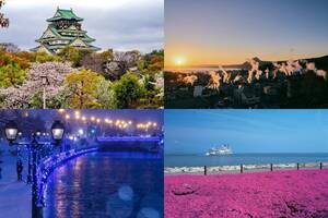 年末年始はクルマで出かけよう！9連休で行きたい国内旅行先ランキング NEWT