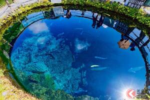 富士山麓の「渋滞」回避へ！ 国道138号の「抜け道」開通に歓喜の声、忍野村「村道鐘山線」