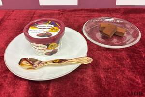 “一口で、心までとろける” ハーゲンダッツが贈る新作「ガナッシュショコラ」の誘惑