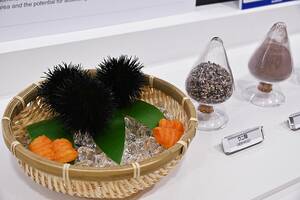 〈人テク展2024横浜〉ウニの殻から作った「ウニライト」　消臭効果のある新素材として河西工業が提案