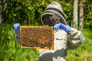 なぜ自動車メーカーが「養蜂」を行うのか？ ハチミツ界のロールス・ロイスを目指しているわけではなかった!?