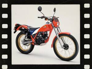 ホンダ「TLR200」（1983）【80年代に登場したホンダのバイク図鑑】