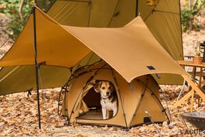 “機能・デザイン・質”を備えた「愛犬用テント」!? 新たなペットアウトドアブランドから登場したキャンプギアの特徴とは