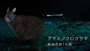 EVの技術で絶滅危惧のアマミノクロウサギをロードキルから守れるか？日産のアニマラートPJが始動