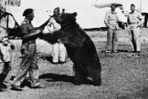 WW2に実在した“クマの兵士” 動物なのにガチで人間扱いの「一般兵」となった理由とは？