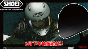 SHOEI新型「ワイバーン」登場予告!! 東本昌平イラストとともにディーザー開始