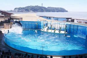 東京から2時間以内で旅気分を満喫！ じゃらん発・関東の人気観光スポット10選 “今週末どこ行こう”が解決する魅力的なおでかけ先とは