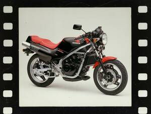 ホンダ「NS250F」（1984年）【80年代に登場したホンダのバイク図鑑】
