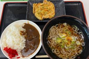 意外と朝から健康的!?　東関道「酒々井PA」で天ぷらそばとミニカレーが織りなす幸せの組み合わせを堪能　バイクで行く高速道路グルメ