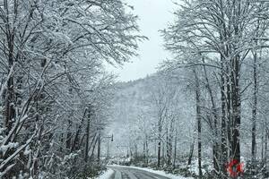 新型「フォレスター」を北海道で乗ってみた！荒れた道で光るスバルの「総合安全」北の大地で感じた“安心と楽しさ”の真髄【試乗記】