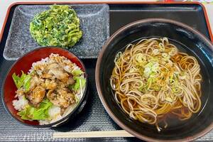 低カロリーで旨みたっぷり。東関道「酒々井PA」でいただく「ミニ鶏ハラミご飯」に満足　バイクで行く高速道路グルメ