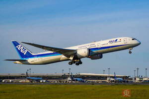 ANA便に「驚安航空券」出現中 国内は「片道5000円から」 国際線も… その詳細は？