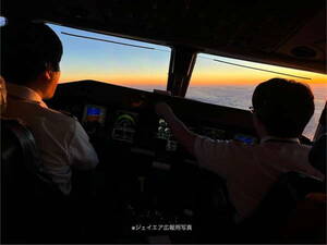 旅客機の操縦席、なぜ「毛でモフモフ」？ 客室は革製とかなのに… 「なるほど」すぎる航空会社の回答とは