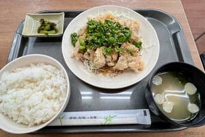 意外!?　上信越道「東部湯の丸SA」名物「山賊ニラだれ定食」はサッパリ系だった