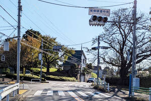 別名「戦車道路」 市民が憩う東京の緑道で、過去に何があったのか？ グネグネ・ウネウネに“名残り”