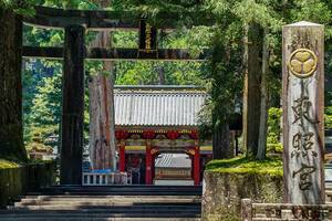 日光・鬼怒川への旅行をお得にスムーズに！ 電車もバスも乗り放題で使える「NIKKO MaaS フリーパス」ってなに？ スマホ一台で完結できる次世代の観光ツールとは