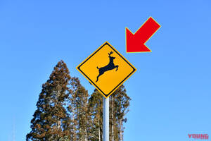 【バイクにとってはマジで危険!】「動物飛び出し注意」の標識は想像以上にバリエーション豊富
