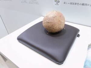 〈人テク展2024横浜〉廃棄ココナッツ殻を自動車の内装品に　ミドリオートレザーの「コイアーレ」