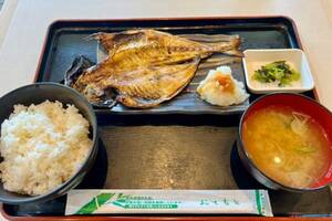大きなアジの開きでご飯2杯は余裕！　看板メニュー「焼き魚定食」に大満足　バイクで行く高速道路グルメ　新東名「掛川PA」