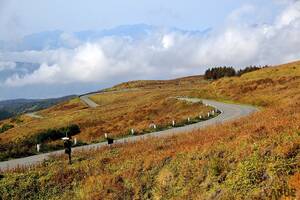 走った瞬間“虜”になる!? 紅葉の「ビーナスライン」で味わう絶景三昧ツーリング 実際に行ってわかった“バイク乗りの聖地”と言われる理由とは