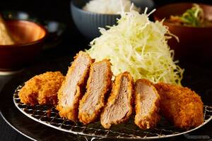 中国道の西宮名塩SA上り線、12月5日リニューアルオープンへ…とんかつ専門店「shin」新設