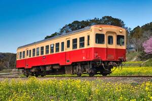 いすみ鉄道危機、脱線から半年！ 売上3割減・負債2倍…走り続ける意味はあるのか？ カリスマ前社長の功罪、赤字ローカル線の価値を問う