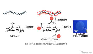 ミドリムシを接着剤に、自動車構造材に革新　旭化成らが開発