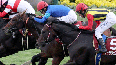 値下げ マイネルラヴ　スプリンターズS的中馬券 値下げ マイネルラヴ スプリンターズS的中馬券 値下げ