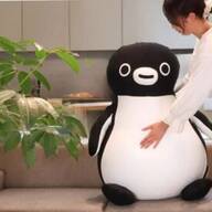 【ルームウェア】シェリーメイ♡ジェラートピケ♡ダッフィーフレンズ ダッフィー、シェリーメイ、ジェラトーニのルームウェア gelato